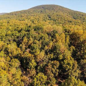 Photo #9 of STONEY CREEK WEST, NELLYSFORD, VA 1.0 acres