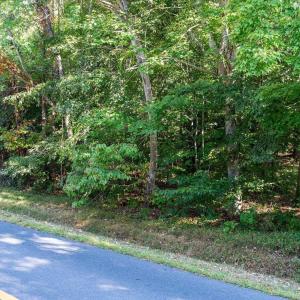 Photo #17 of STONEY CREEK WEST, NELLYSFORD, VA 1.0 acres