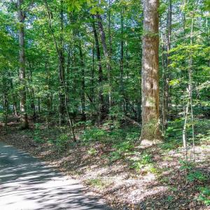 Photo #15 of STONEY CREEK WEST, NELLYSFORD, VA 1.0 acres