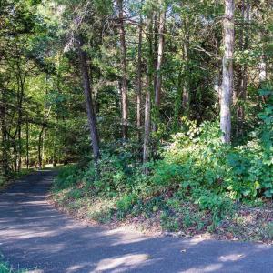 Photo #14 of STONEY CREEK WEST, NELLYSFORD, VA 1.0 acres