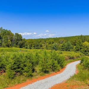 Photo #2 of TBD STONY POINT PASS, KESWICK, VA 177.9 acres