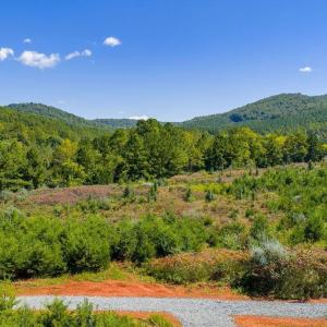 Photo #4 of TBD STONY POINT PASS, KESWICK, VA 177.9 acres