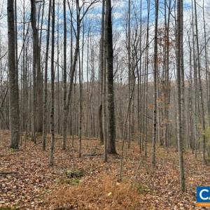 Photo #1 of Part of TM 24-1 MITCHELL MOUNTAIN RD, HAYWOOD, VA 39.2 acres