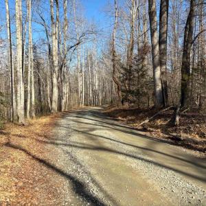 Photo #14 of Part of TM 24-1 MITCHELL MOUNTAIN RD, HAYWOOD, VA 39.2 acres