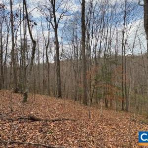 Photo #11 of Part of TM 24-1 MITCHELL MOUNTAIN RD, HAYWOOD, VA 39.2 acres