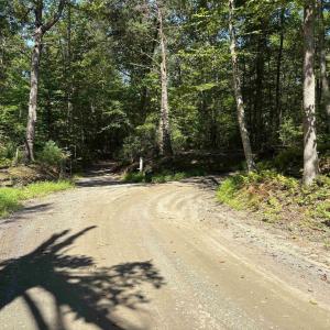 Photo #4 of TM 23-5A MITCHELL MOUNTAIN RD, HAYWOOD, VA 39.2 acres