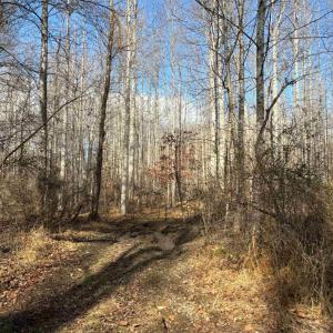Photo #13 of TM 23-5A MITCHELL MOUNTAIN RD, HAYWOOD, VA 39.2 acres