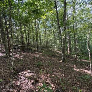 Photo #7 of TM 23-5A MITCHELL MOUNTAIN RD, HAYWOOD, VA 39.2 acres