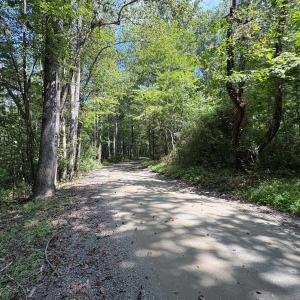Photo #8 of TM 23-5A MITCHELL MOUNTAIN RD, HAYWOOD, VA 39.2 acres