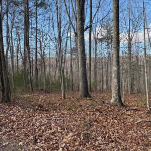 Photo #17 of TM 23-5A MITCHELL MOUNTAIN RD, HAYWOOD, VA 39.2 acres