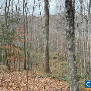 Photo #10 of TM 23-5A MITCHELL MOUNTAIN RD, HAYWOOD, VA 39.2 acres