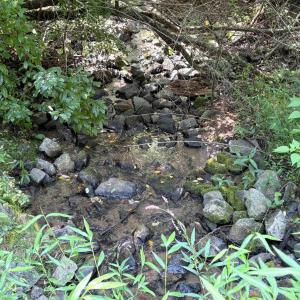 Photo #5 of TM 23-5A MITCHELL MOUNTAIN RD, HAYWOOD, VA 39.2 acres