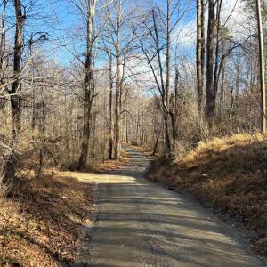 Photo #11 of TM 23-5A MITCHELL MOUNTAIN RD, HAYWOOD, VA 39.2 acres
