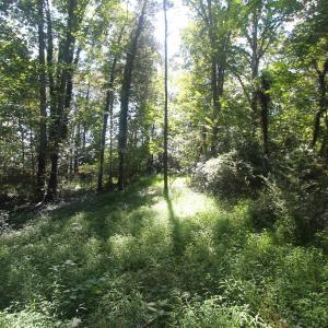 Photo #11 of SEMINOLE TRL, ROCHELLE, VA 4.7 acres