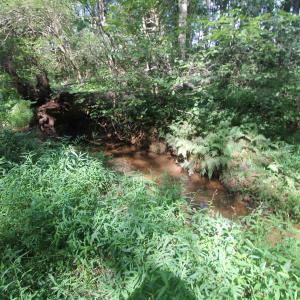 Photo #6 of SEMINOLE TRL, ROCHELLE, VA 4.7 acres