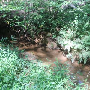 Photo #7 of SEMINOLE TRL, ROCHELLE, VA 4.7 acres