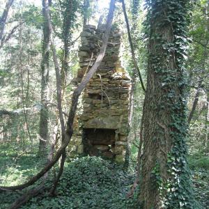 Photo #9 of SEMINOLE TRL, ROCHELLE, VA 4.7 acres