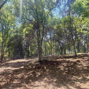 Photo #17 of BUCK RD, CROZET, VA 25.3 acres