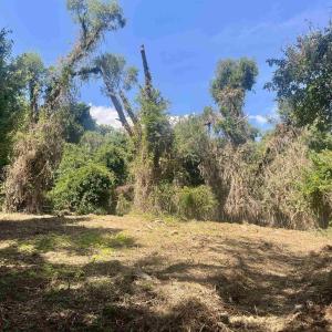 Photo #20 of 1630 BUCK RD, CROZET, VA 25.3 acres