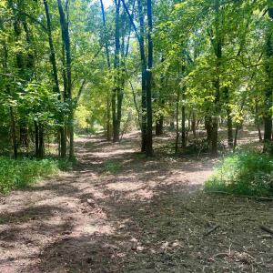 Photo #27 of 1630 BUCK RD, CROZET, VA 25.3 acres