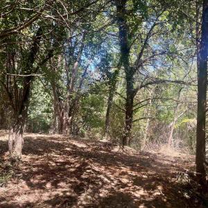 Photo #26 of 1630 BUCK RD, CROZET, VA 25.3 acres