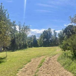 Photo #15 of 1630 BUCK RD, CROZET, VA 25.3 acres