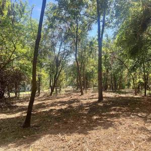 Photo #18 of 1630 BUCK RD, CROZET, VA 25.3 acres