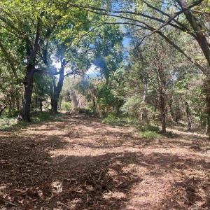 Photo #24 of 1630 BUCK RD, CROZET, VA 25.3 acres