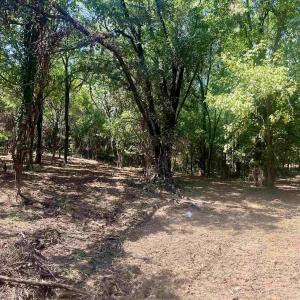 Photo #28 of 1630 BUCK RD, CROZET, VA 25.3 acres