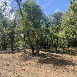 Photo #29 of 1630 BUCK RD, CROZET, VA 25.3 acres