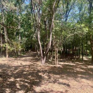 Photo #19 of 1630 BUCK RD, CROZET, VA 25.3 acres