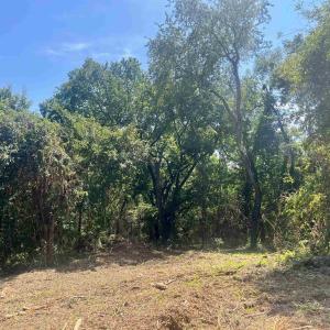 Photo #21 of 1630 BUCK RD, CROZET, VA 25.3 acres