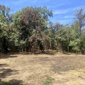 Photo #11 of 1630 BUCK RD, CROZET, VA 25.3 acres