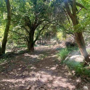 Photo #25 of 1630 BUCK RD, CROZET, VA 25.3 acres