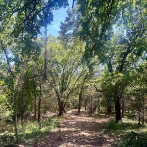 Photo #23 of 1630 BUCK RD, CROZET, VA 25.3 acres