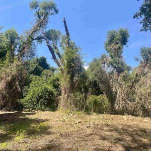 Photo #22 of 1630 BUCK RD, CROZET, VA 25.3 acres