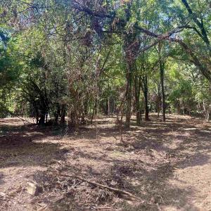 Photo #16 of 1630 BUCK RD, CROZET, VA 25.3 acres