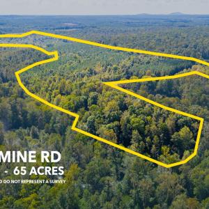 Photo #13 of COPPER MINE RD, DILLWYN, VA 65.0 acres