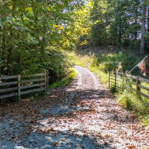 Photo #1 of COPPER MINE RD, DILLWYN, VA 65.0 acres