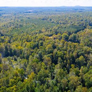 Photo #11 of COPPER MINE RD, DILLWYN, VA 65.0 acres