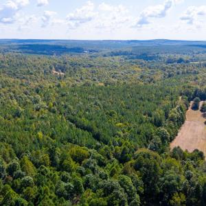 Photo #9 of COPPER MINE RD, DILLWYN, VA 65.0 acres