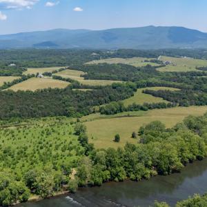 Photo #9 of Off CAVALIER RD, RILEYVILLE, VA 115.5 acres