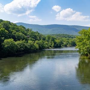 Photo #21 of Off CAVALIER RD, RILEYVILLE, VA 115.5 acres