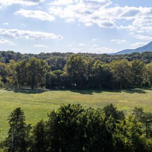 Photo #74 of Off CAVALIER RD, RILEYVILLE, VA 115.5 acres