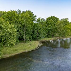 Photo #20 of Off CAVALIER RD, RILEYVILLE, VA 115.5 acres