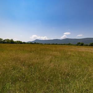 Photo #64 of Off CAVALIER RD, RILEYVILLE, VA 115.5 acres