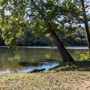 Photo #32 of Off CAVALIER RD, RILEYVILLE, VA 115.5 acres