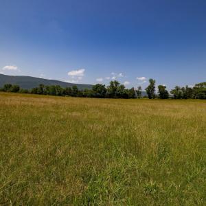 Photo #65 of Off CAVALIER RD, RILEYVILLE, VA 115.5 acres