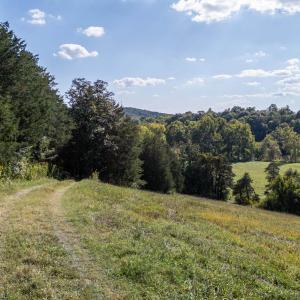 Photo #73 of Off CAVALIER RD, RILEYVILLE, VA 115.5 acres