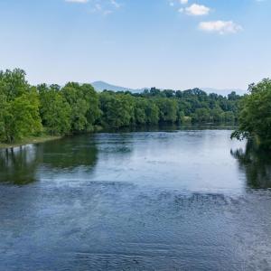 Photo #19 of Off CAVALIER RD, RILEYVILLE, VA 115.5 acres